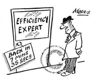 experto eficiencia